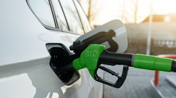México. Desde el sector de los biocombustibles piden ser escuchados en busca de mejorar las normativas vigentes