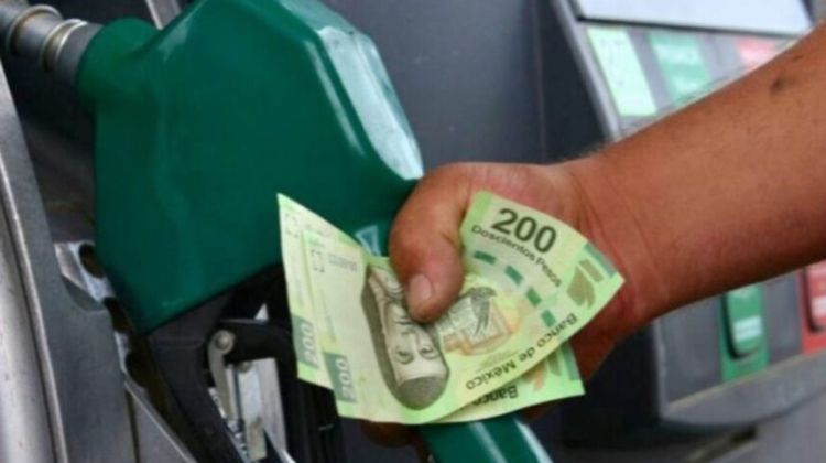 México.  ¿Realmente disminuyó el precio de la gasolina regular en México?