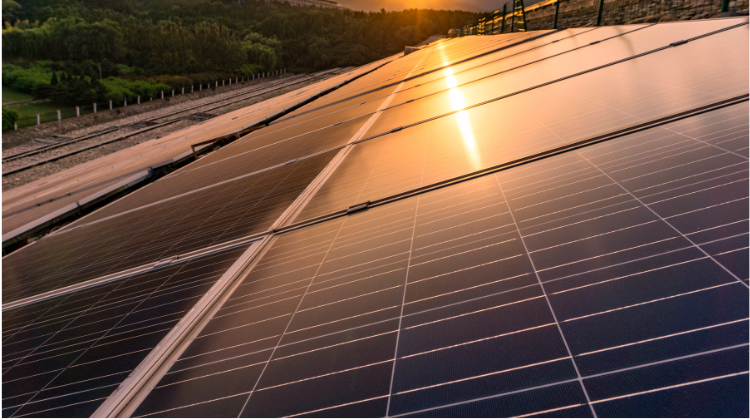 Colombia.  Los desafíos económicos de la transición energética: La opinión de una experta del sector