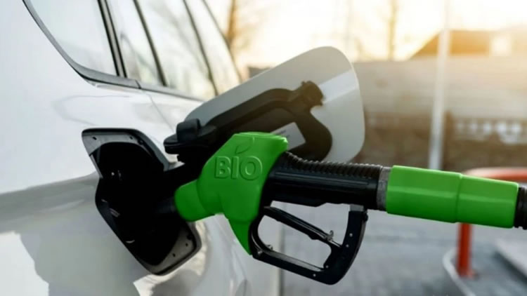Argentina.  ¿Cómo impactaría el aumento del porcentaje de biocombustibles en la operatoria diaria de las Estaciones de Servicio?