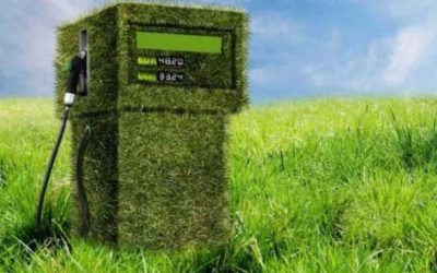 México.  México impulsa los biocombustibles: encuentro nacional y respaldo institucional en Tamaulipas