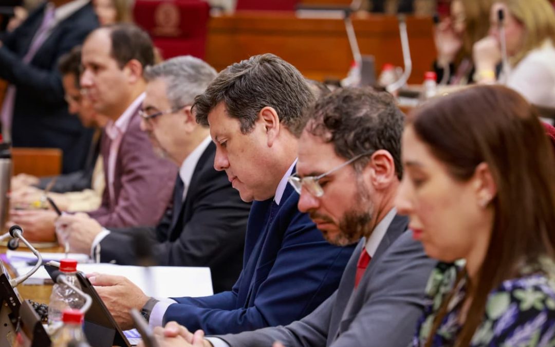 Paraguay.  La creación de un nuevo ministerio pone el foco en biocombustibles, energía y movilidad sostenible