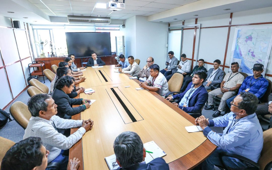 Perú.  Biocombustibles: el Estado reactiva el marco normativo para fortalecer la producción nacional