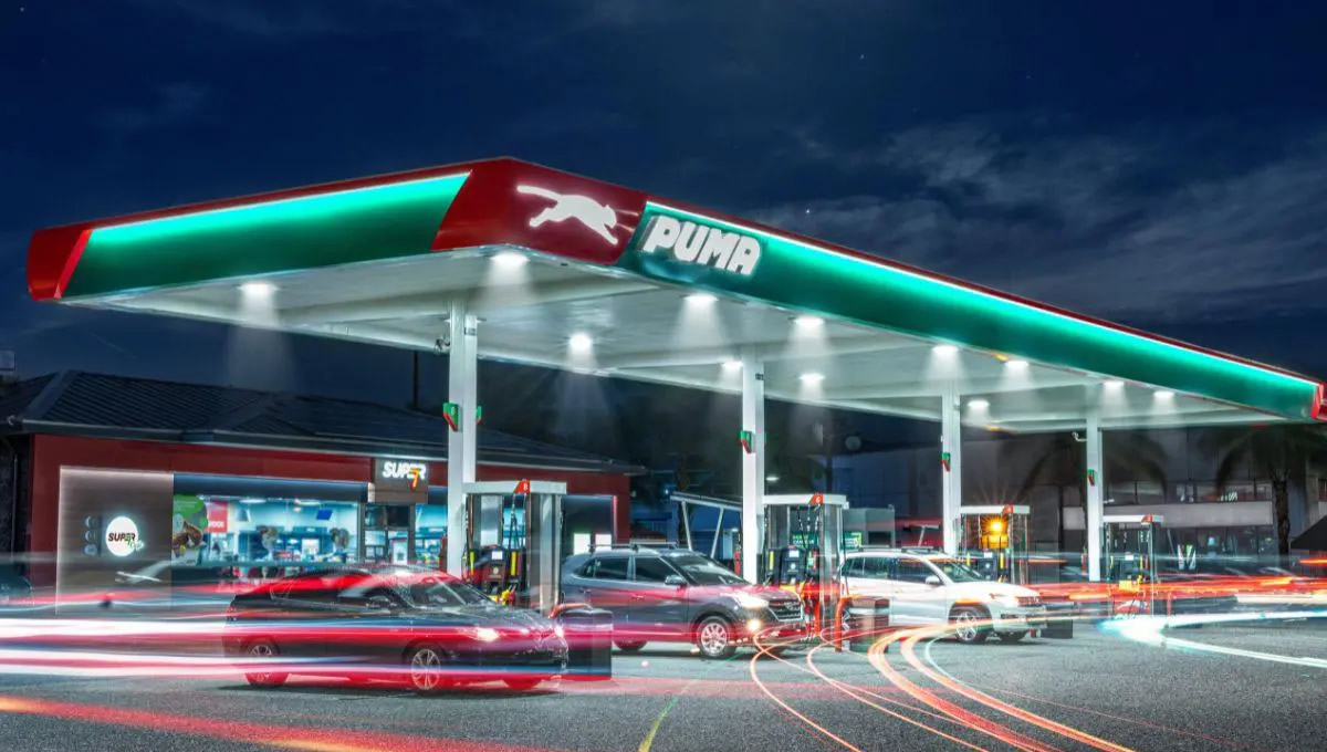 Estrategia comercial Puma Energy