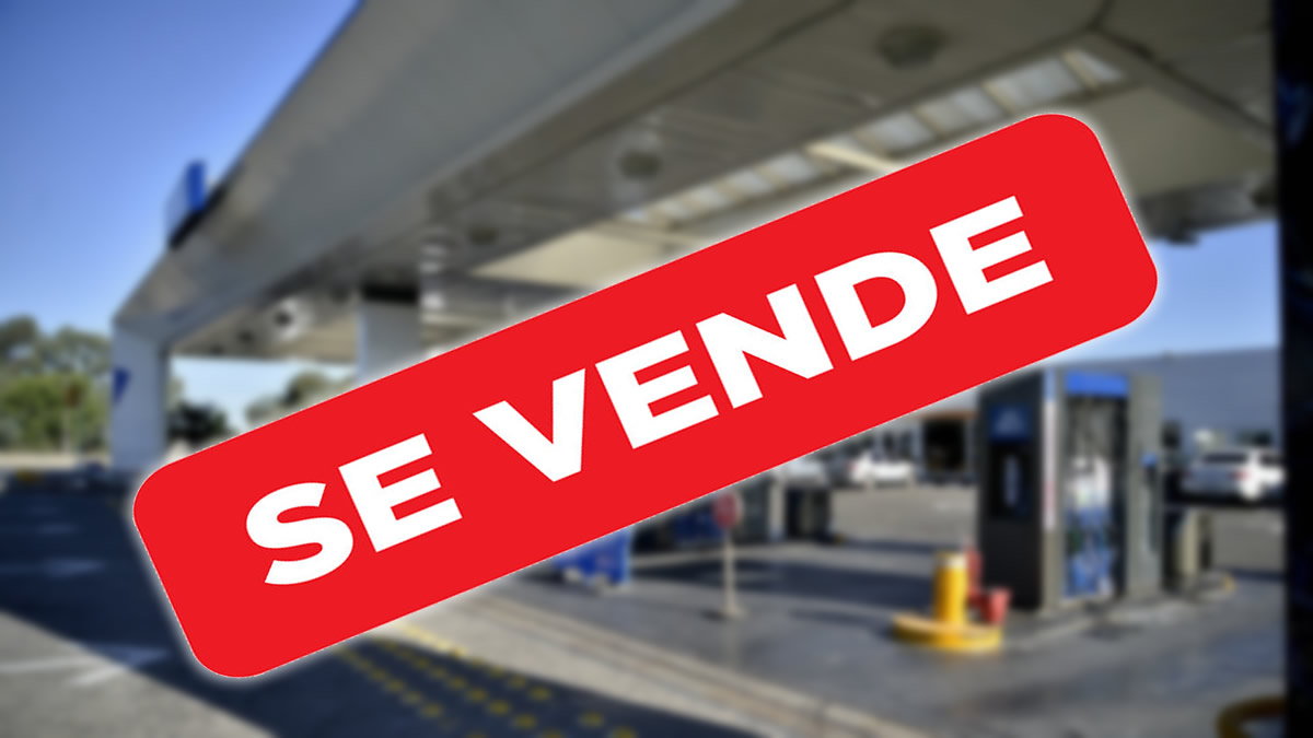 Rentabilidad de Estaciones de Servicio 2026