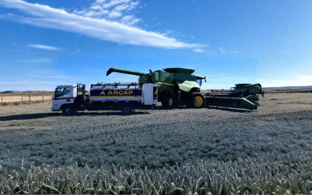 Uruguay.  Estaciones rurales alertan por caída en la demanda de gasoil luego de una zafra con bajo rendimiento