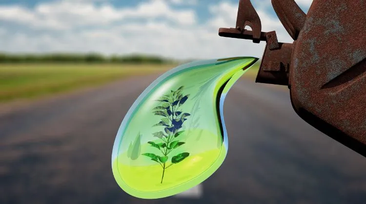 Paraguay.  Del 5% al 20%: Paraguay redefine el negocio del biodiésel y apuesta a escalar su industria