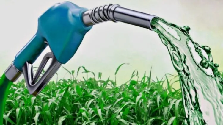 Mezcla de etanol en gasolinas México