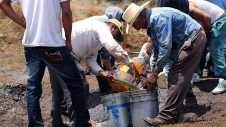 Robo de combustibles México 2026 huachicol