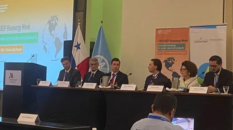 Paraguay.  Paraguay busca consolidarse como líder regional en biocombustibles