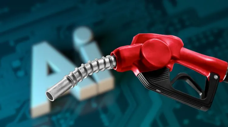 México.  La inteligencia artificial revoluciona los estudios ambientales, pero los especialistas advierten que el criterio humano sigue siendo indispensable