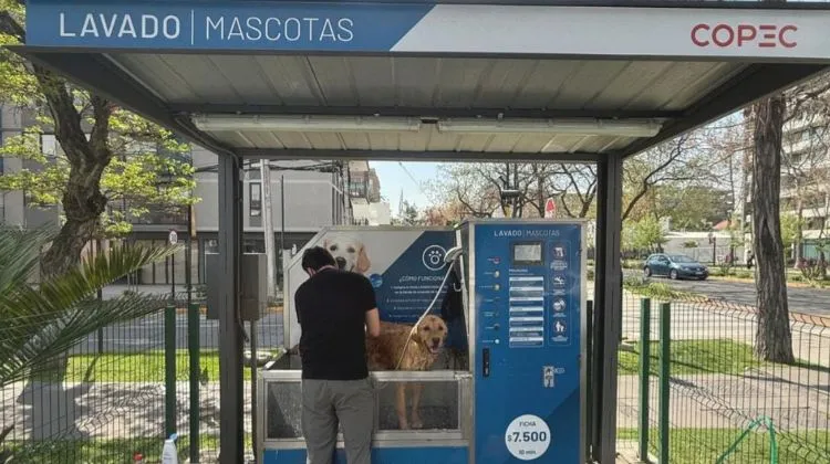 lavado de mascotas copec