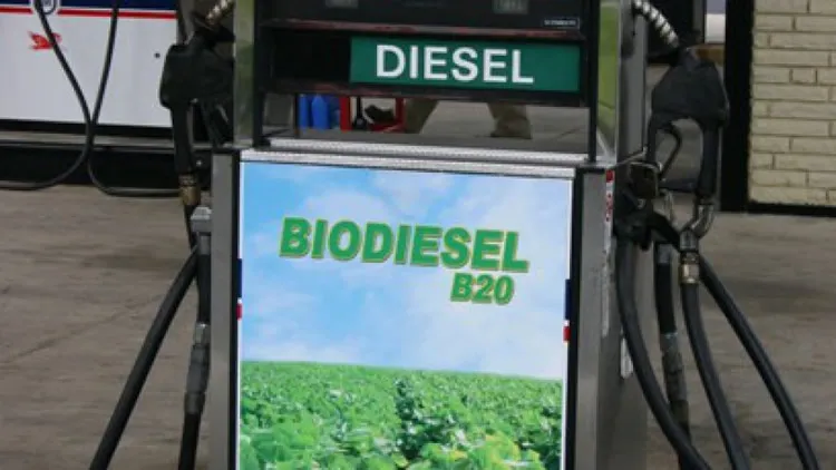 Que necesitan los combustibles renovables para llegar a mas Estaciones de Servicio