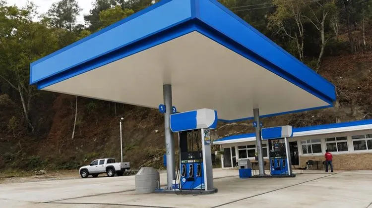 Seis estados de Mexico entran en la mira del PRONAGAS Que deben revisar los gasolineros